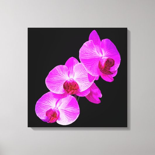 PixDezines Orchid/Hot Pink/DIY Achtergrondkleur Canvas Afdruk (Voorkant)