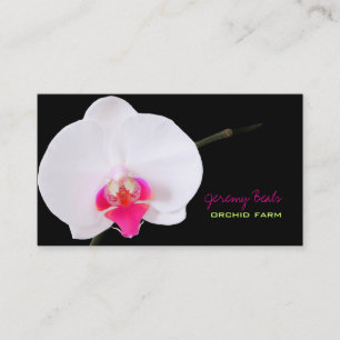 PixDezines orchidee/diy achtergrond kleur♥♥♥ Visitekaartje