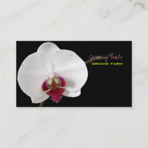 PixDezines orchidee/diy achtergrond kleur♥♥♥ Visitekaartje