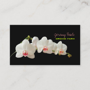 PixDezines orchidee/diy achtergrondkleur♥♥♥ Visitekaartje