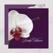 PixDezines orchideeën/phalaenopsis Kaart (Voorkant / Achterkant)