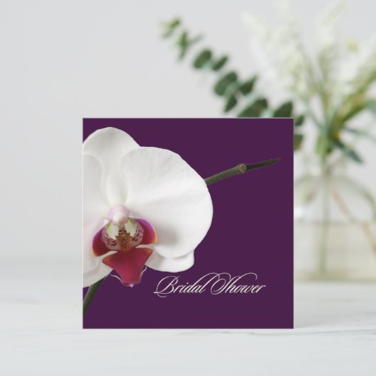 PixDezines orchideeën/phalaenopsis Kaart (Staand voorkant)