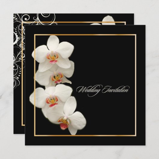 PixDezines orchideeën/phalaenopsis Kaart (Voorkant / Achterkant)