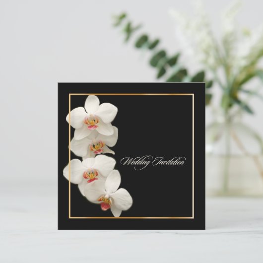 PixDezines orchideeën/phalaenopsis Kaart (Staand voorkant)