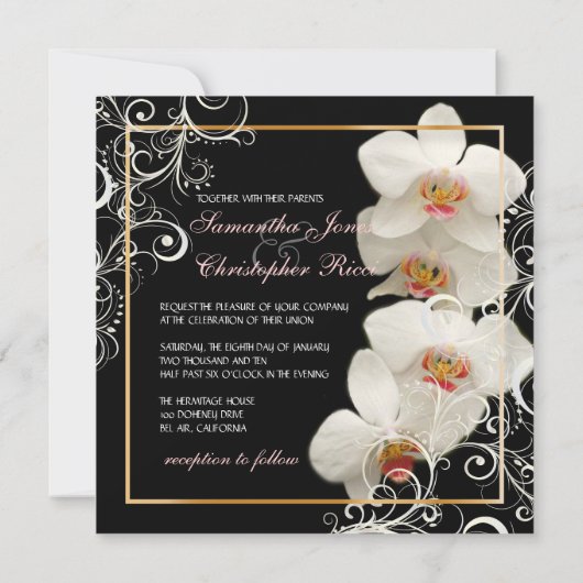 PixDezines orchideeën/phalaenopsis Kaart (Achterkant)