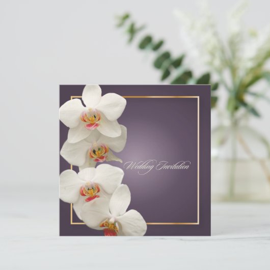 PixDezines orchideeën/phalaenopsis Kaart (Staand voorkant)