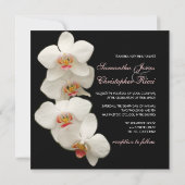 PixDezines orchideeën/phalaenopsis Kaart (Achterkant)