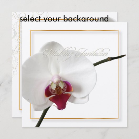 PixDezines orchideeën/phalaenopsis Kaart (Voorkant / Achterkant)