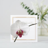 PixDezines orchideeën/phalaenopsis Kaart (Staand voorkant)