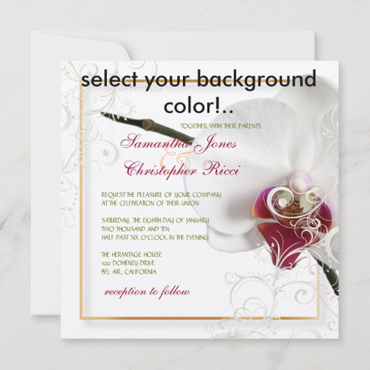 PixDezines orchideeën/phalaenopsis Kaart (Achterkant)