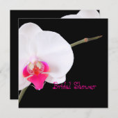 PixDezines orchideeën/phalaenopsis Kaart (Voorkant / Achterkant)