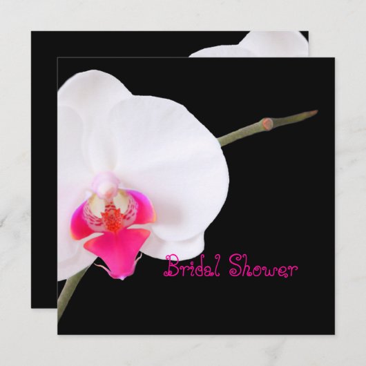 PixDezines orchideeën/phalaenopsis Kaart (Voorkant / Achterkant)