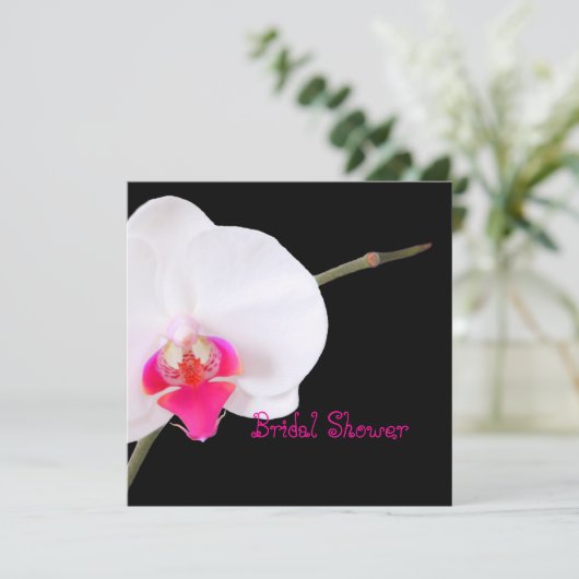 PixDezines orchideeën/phalaenopsis Kaart (Staand voorkant)
