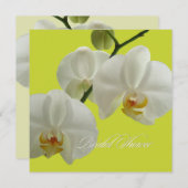 PixDezines orchideeën/phalaenopsis Kaart (Voorkant / Achterkant)