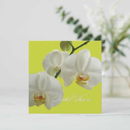 PixDezines orchideeën/phalaenopsis Kaart (Staand voorkant)