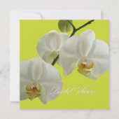 PixDezines orchideeën/phalaenopsis Kaart (Voorkant)