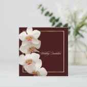 PixDezines orchideeën/phalaenopsis Kaart (Staand voorkant)