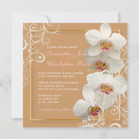 PixDezines orchideeën/phalaenopsis Kaart (Achterkant)