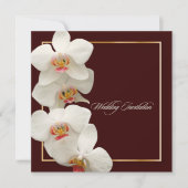 PixDezines orchideeën/phalaenopsis Kaart (Voorkant)