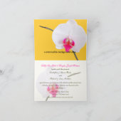 PixDezines orchids/falaenopsis (Binnen)