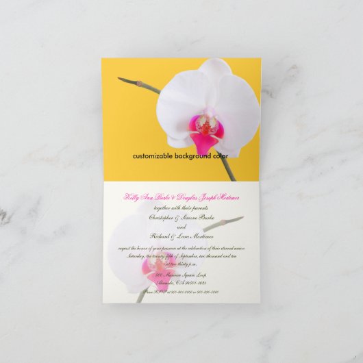 PixDezines orchids/falaenopsis (Binnen)