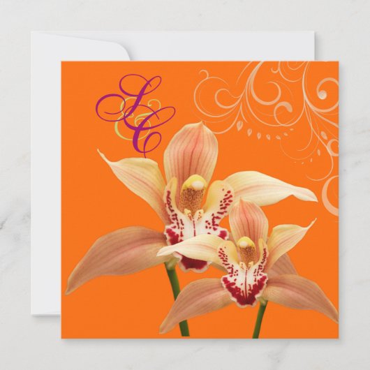 PixDezines Orchids/Oranje + Vlaanderen voor sierdo Kaart (Voorkant)