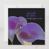 PixDezines paarse calla lilies/dij Kaart (Voorkant)