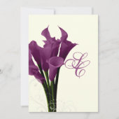 PixDezines paarse calla lilies/dij Kaart (Voorkant)
