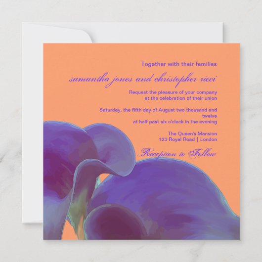 PixDezines paarse calla lilies/dij Kaart (Achterkant)