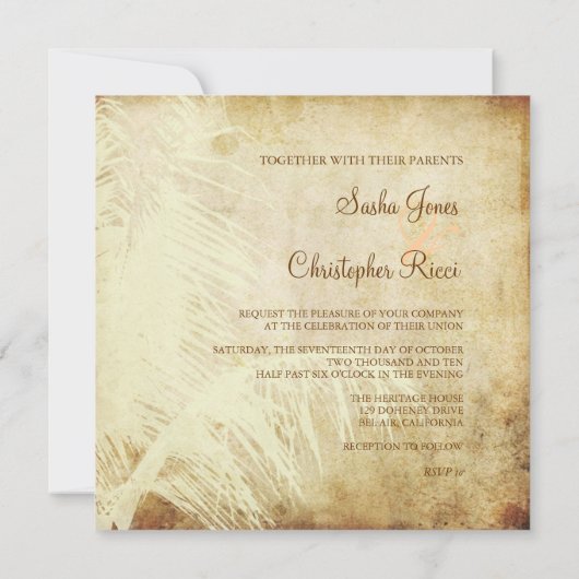 PixDezines  PALM/FAUX PARCHMENT/DIY FONTS Kaart (Achterkant)