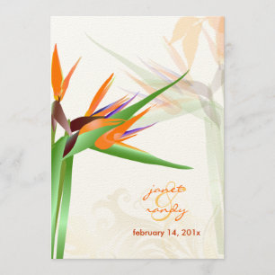 PixDezines PARADIJSVOGEL/DIY Achtergrondkleur Kaart