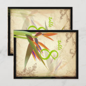 PixDezines  paradijsvogel/diy lettertype/kleur Briefkaart (Voorkant / Achterkant)