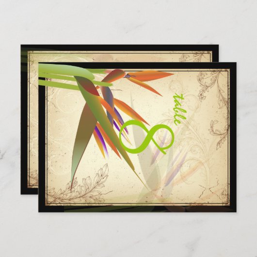 PixDezines paradijsvogel/diy lettertype/kleur Briefkaart (Voorkant / Achterkant)