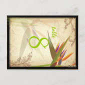 PixDezines  paradijsvogel/diy lettertype/kleur Briefkaart (Achterkant)