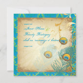 PixDezines pauock veren/aqua/turquoise (Achterkant)