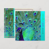 PixDezines pauock veren/aqua/turquoise Kaart (Voorkant / Achterkant)