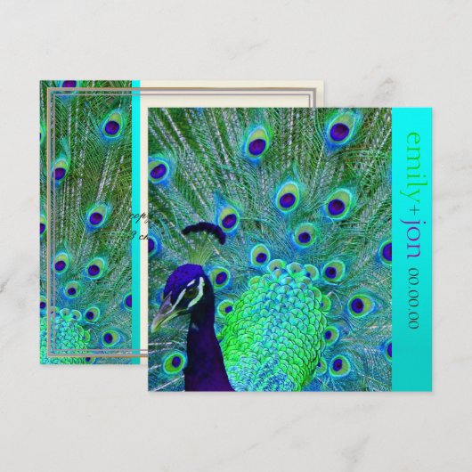 PixDezines pauock veren/aqua/turquoise Kaart (Voorkant / Achterkant)