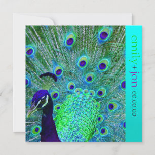PixDezines pauock veren/aqua/turquoise Kaart