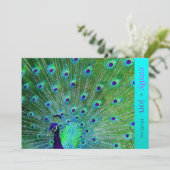 PixDezines pauock veren/aqua/turquoise Kaart (Staand voorkant)