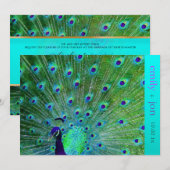 PixDezines pauock veren/aqua/turquoise Kaart (Voorkant / Achterkant)