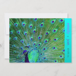 PixDezines pauock veren/aqua/turquoise Kaart