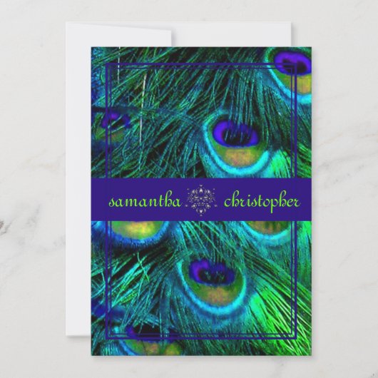 PixDezines pauock veren/aqua/turquoise Kaart (Voorkant)