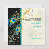 PixDezines pauock veren/aqua/turquoise Kaart (Achterkant)