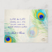 PixDezines pauw/DIY event+achtergrondkleur Aankondigingskaart (Achterkant)