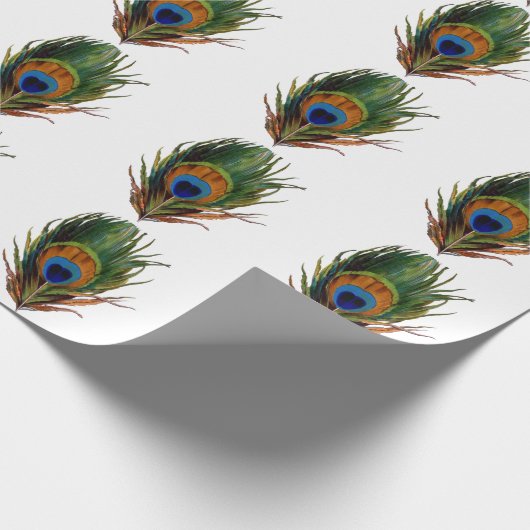 PixDezines pauw veren/dij achtergrond Cadeaupapier (Hoek)