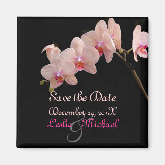 PixDezines Peach Orchid, Sla de datum op Magneet