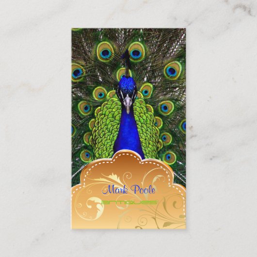 PixDezines Peacock+filigree-zwembroeken Visitekaartje (Voorkant)