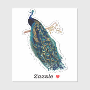 PixDezines  Peacock Groen Blauw + Goud Sticker