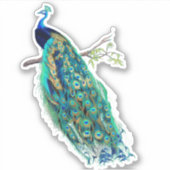 PixDezines  Peacock Groen Blauw + Goud Sticker (Voorkant)
