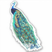 PixDezines  Peacock Groen Blauw + Goud Sticker (Voorkant)